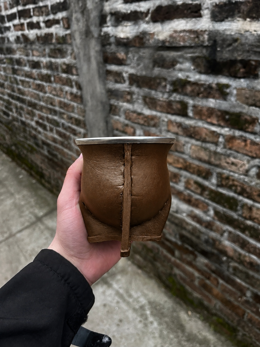Camionero Clasico